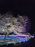 東武動物公園に投稿された画像（2026/4/6）