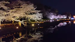 東武動物公園に投稿された画像（2026/4/6）