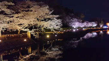 東武動物公園に投稿された画像（2026/4/6）