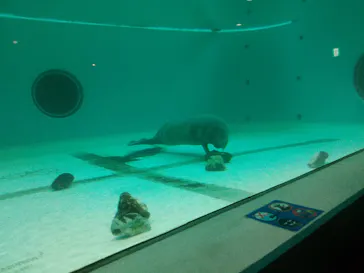 沖縄美ら海水族館に投稿された画像（2026/4/6）