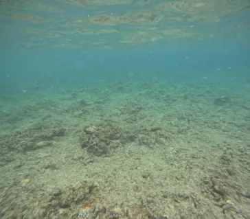 沖縄マリンサービス碧に投稿された画像（2026/4/6）