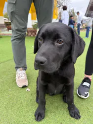 つくばわんわんランドに投稿された画像（2026/4/6）