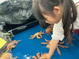 竹島水族館に投稿された画像（2026/4/6）