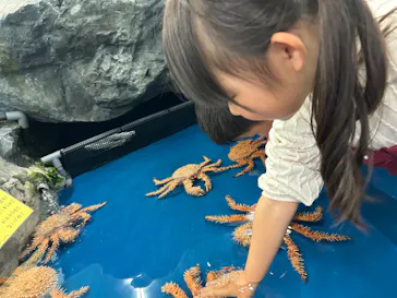 竹島水族館に投稿された画像（2026/4/6）