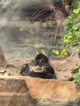 恩賜上野動物園に投稿された画像（2026/4/6）