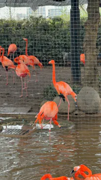 恩賜上野動物園に投稿された画像（2026/4/6）