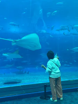 沖縄美ら海水族館に投稿された画像（2026/4/6）