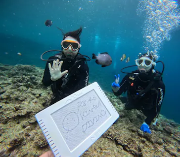 青の洞窟専門店　沖縄ダイビングショップ和に投稿された画像（2026/4/6）