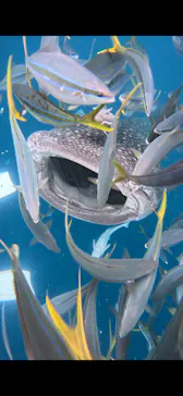 Simple marine service（シンプルマリンサービス）に投稿された画像（2026/4/6）