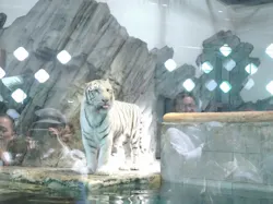 NIFREL（ニフレル）に投稿された画像（2026/4/6）