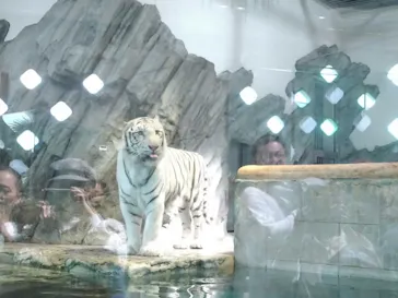 NIFREL（ニフレル）に投稿された画像（2026/4/6）