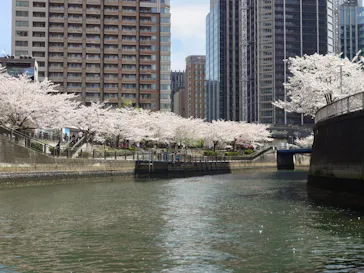 東京ウォータウェイズに投稿された画像（2026/4/6）