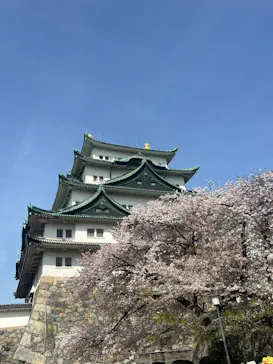 名古屋城に投稿された画像（2026/4/6）
