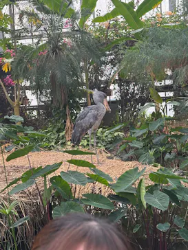 神戸どうぶつ王国に投稿された画像（2026/4/6）