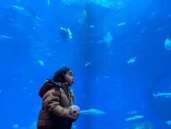 アクアワールド茨城県大洗水族館に投稿された画像（2026/4/6）