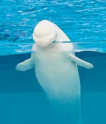 横浜・八景島シーパラダイスに投稿された画像（2026/4/6）