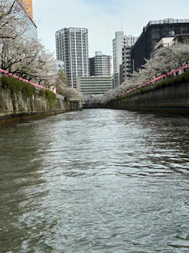 東京ウォータウェイズに投稿された画像（2026/4/6）