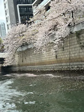 東京ウォータウェイズに投稿された画像（2026/4/6）