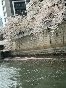 東京ウォータウェイズに投稿された画像（2026/4/6）