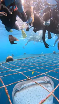 Simple marine service（シンプルマリンサービス）に投稿された画像（2026/4/6）