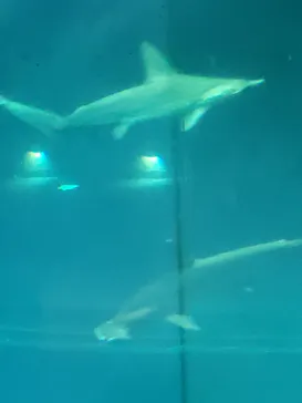 葛西臨海水族園に投稿された画像（2026/4/6）
