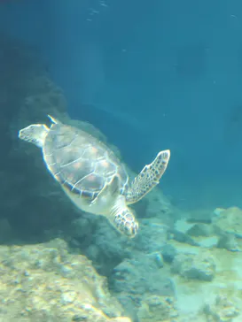 葛西臨海水族園に投稿された画像（2026/4/6）