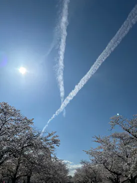 万博記念公園に投稿された画像（2026/4/6）