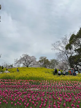 万博記念公園に投稿された画像（2026/4/6）