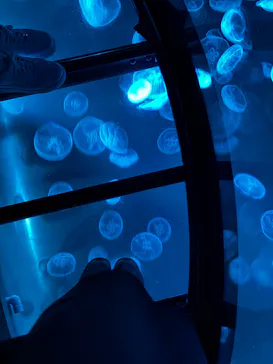 すみだ水族館に投稿された画像（2026/4/6）