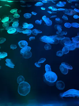 すみだ水族館に投稿された画像（2026/4/6）