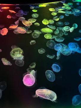 すみだ水族館に投稿された画像（2026/4/6）