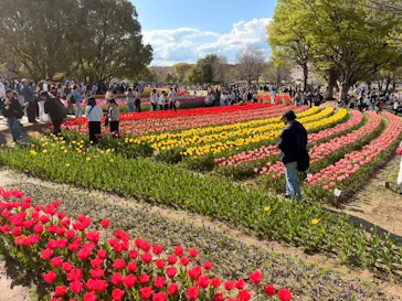 万博記念公園に投稿された画像（2026/4/6）