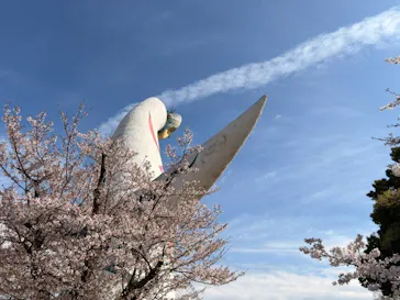 万博記念公園に投稿された画像（2026/4/6）