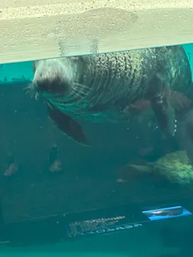 大分マリーンパレス水族館 「うみたまご」に投稿された画像（2026/4/6）