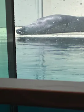 大分マリーンパレス水族館 「うみたまご」に投稿された画像（2026/4/6）