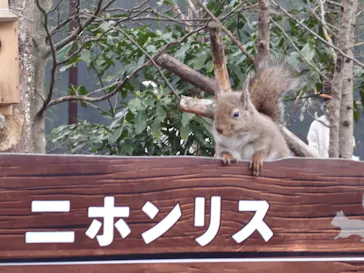 那須どうぶつ王国に投稿された画像（2026/4/6）