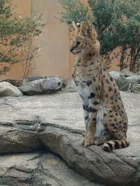 那須どうぶつ王国に投稿された画像（2026/4/6）