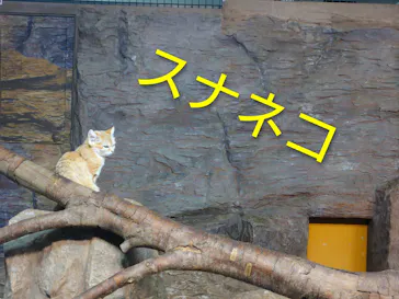 那須どうぶつ王国に投稿された画像（2026/4/6）