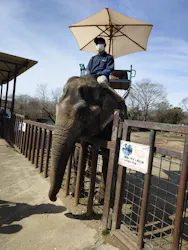 那須サファリパークに投稿された画像（2026/4/6）