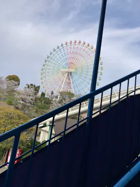 ひらかたパークに投稿された画像（2026/4/6）