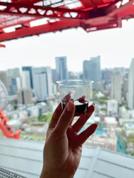 東京タワーに投稿された画像（2026/4/6）