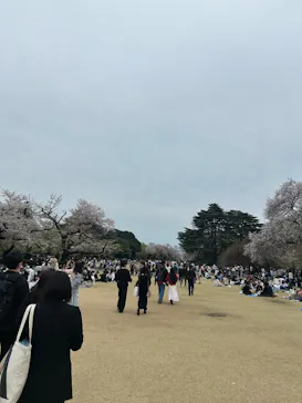 新宿御苑に投稿された画像（2026/4/6）