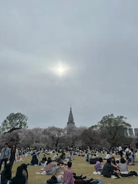 新宿御苑に投稿された画像（2026/4/6）