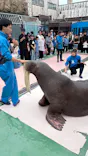 ゼロ距離水族館 伊勢シーパラダイスに投稿された画像（2026/4/6）