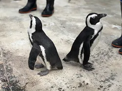 横浜・八景島シーパラダイスに投稿された画像（2026/4/6）