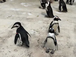 横浜・八景島シーパラダイスに投稿された画像（2026/4/6）