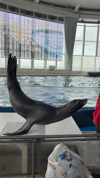 アクアワールド茨城県大洗水族館に投稿された画像（2026/4/6）