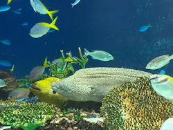 サンシャイン水族館に投稿された画像（2026/4/6）