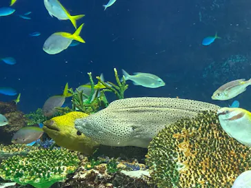 サンシャイン水族館に投稿された画像（2026/4/6）