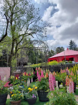 ムーミンバレーパークに投稿された画像（2026/4/6）